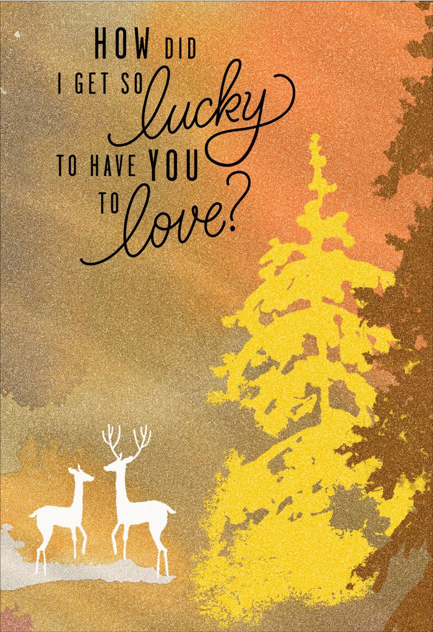 lucky-to-have-you-father-s-day-card-for-husband-greeting-cards-hallmark