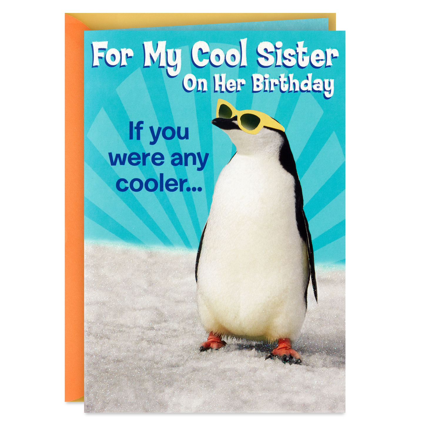funny sister birthday pictures