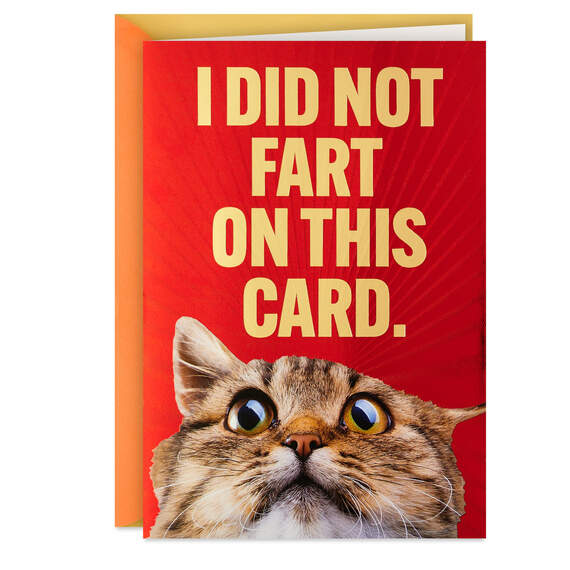 I Did Not Fart Or Did I? Funny Birthday Card, , large image number 1