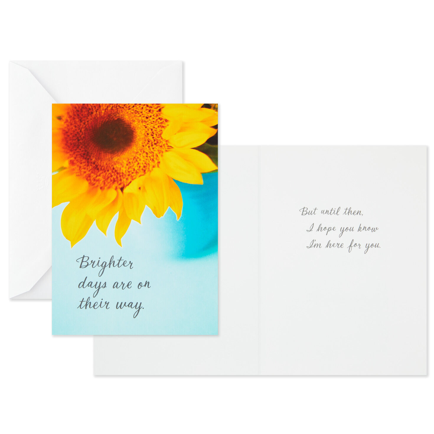 Nature Images Assorted Thinking of You Cards, Pack of 12 - Boxed Cards ...