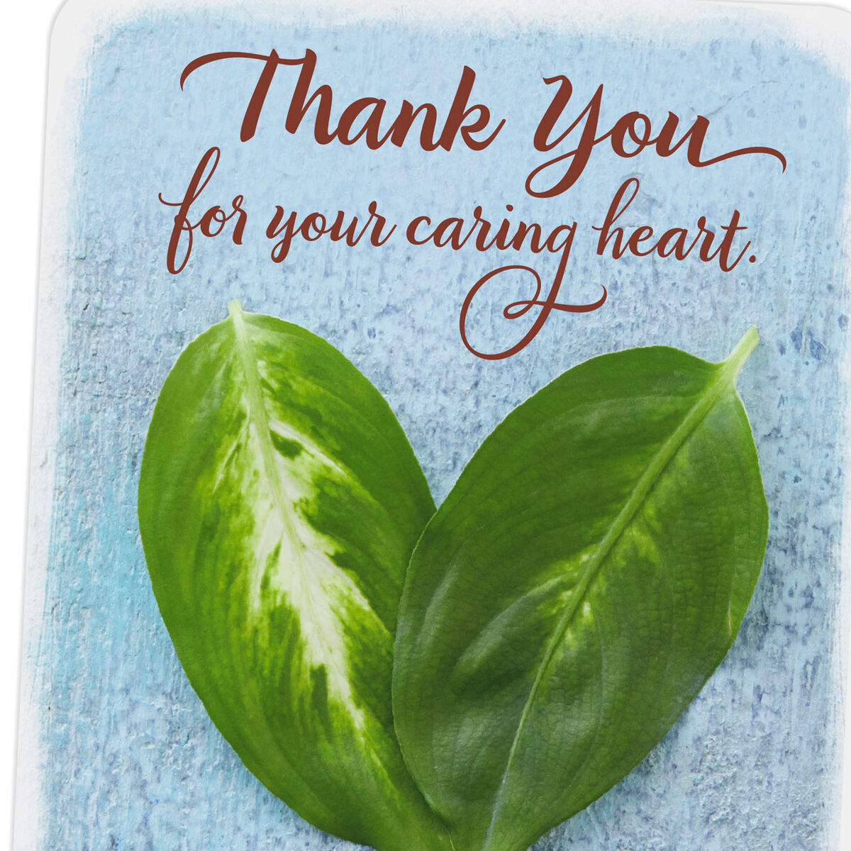 Your Caring Heart Really Makes a Difference Thank You Card - Greeting