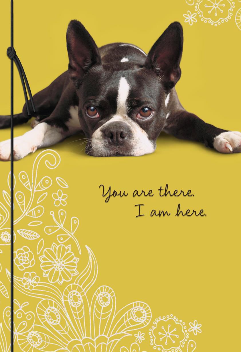 You Are There Sad Puppy Miss You Card - Greeting Cards - Hallmark