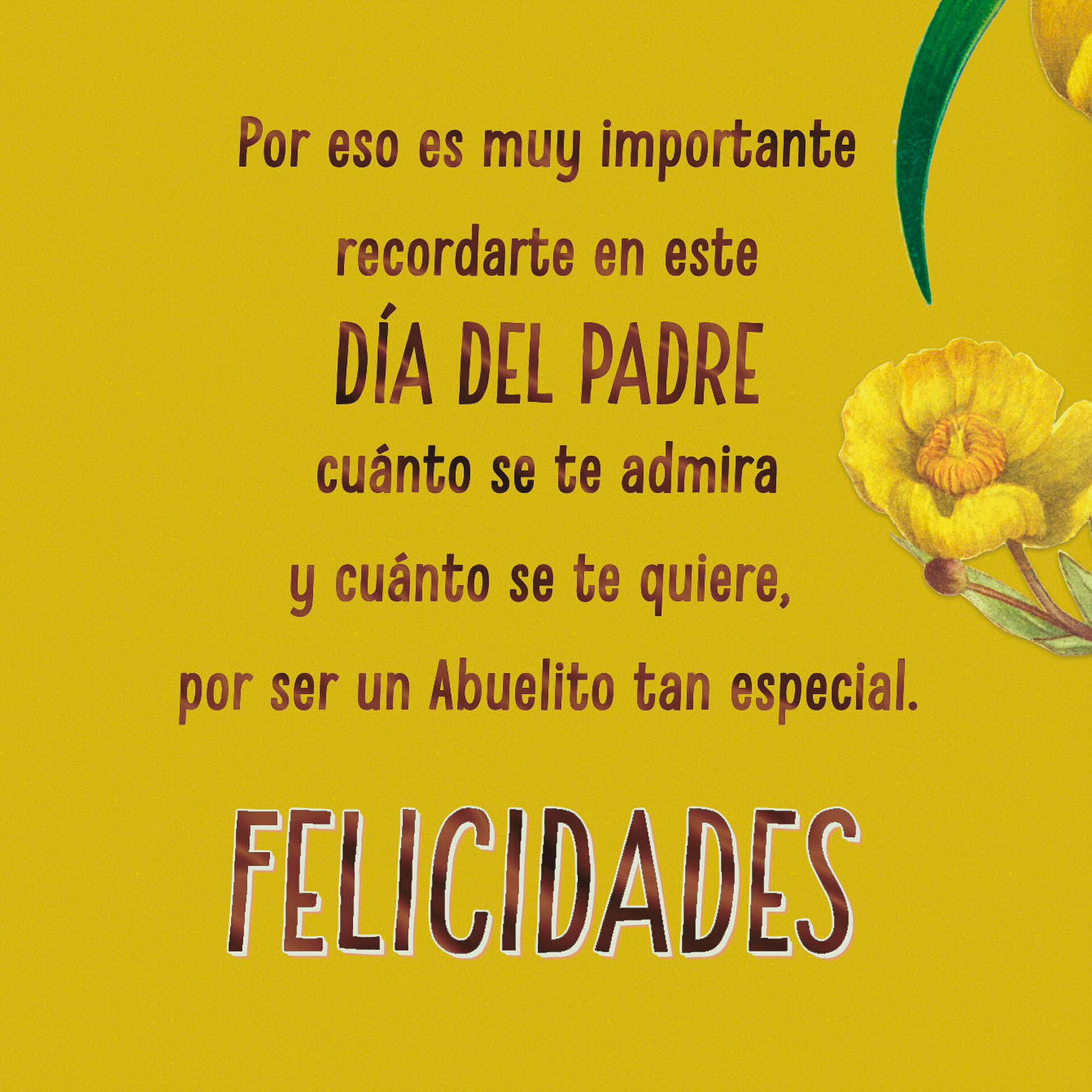 Download For A Special Grandpa Spanish Language Father S Day Card Greeting Cards Hallmark