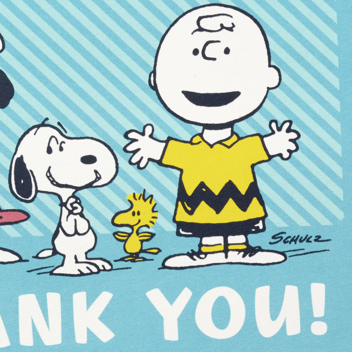 Peanuts® Charlie Brown, Lucy and Snoopy Boxed Blank Thank-You Notes