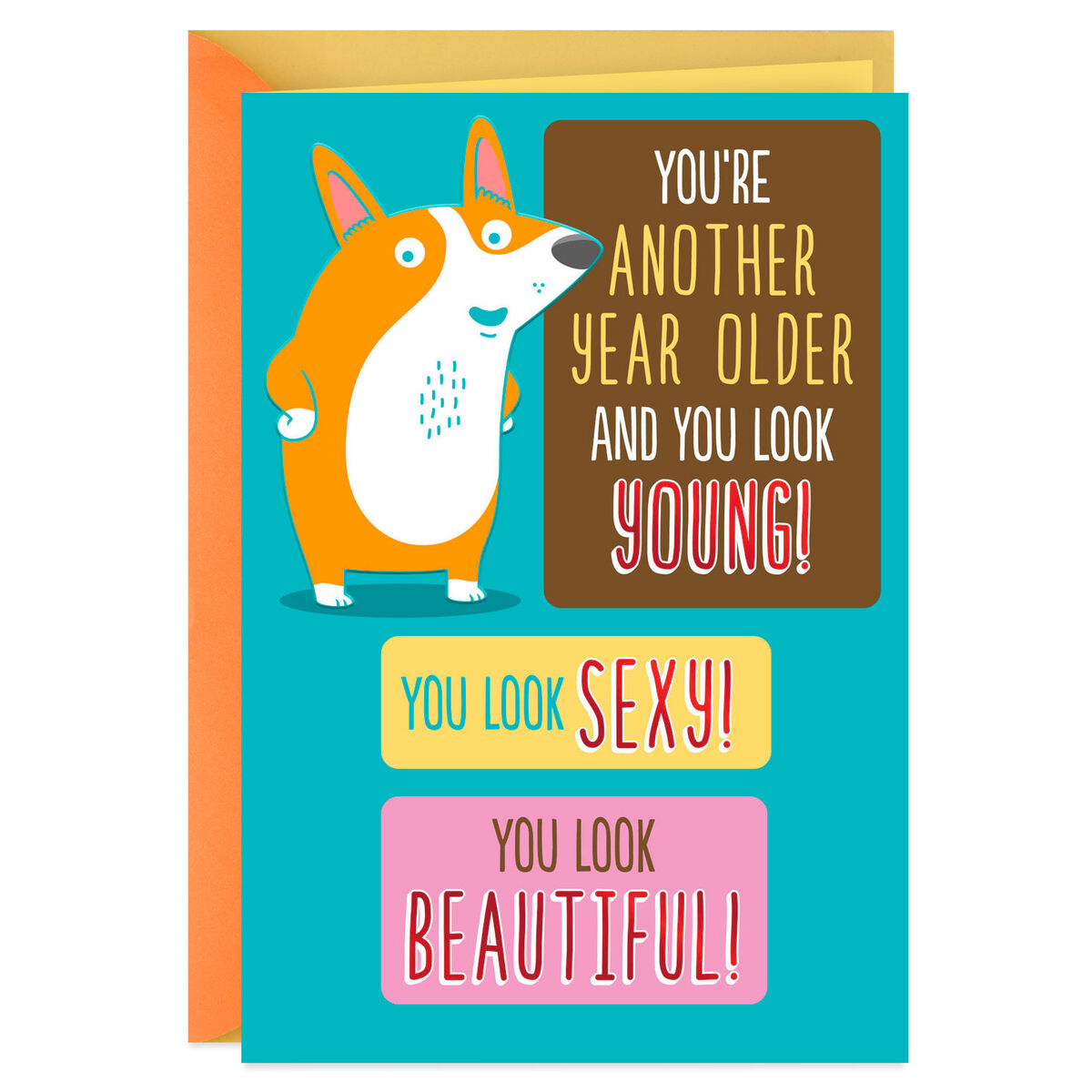 Filled With Compliments Funny Birthday Card Greeting Cards Hallmark 0025