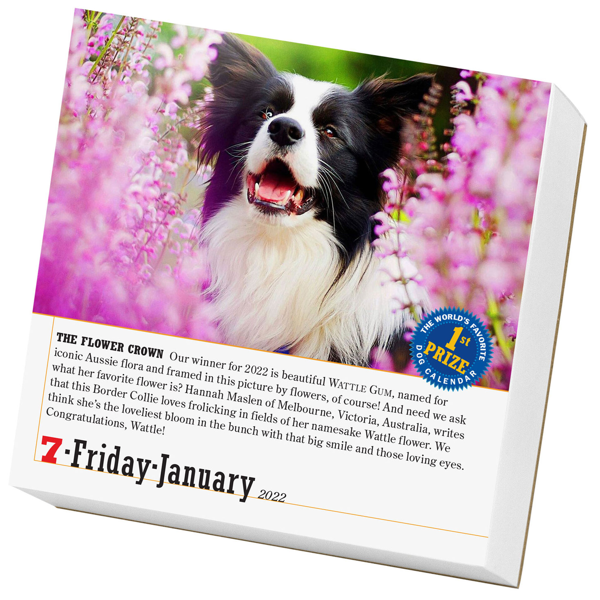 365 Dogs PageADay Calendar, 2022 Calendars & Planners Hallmark