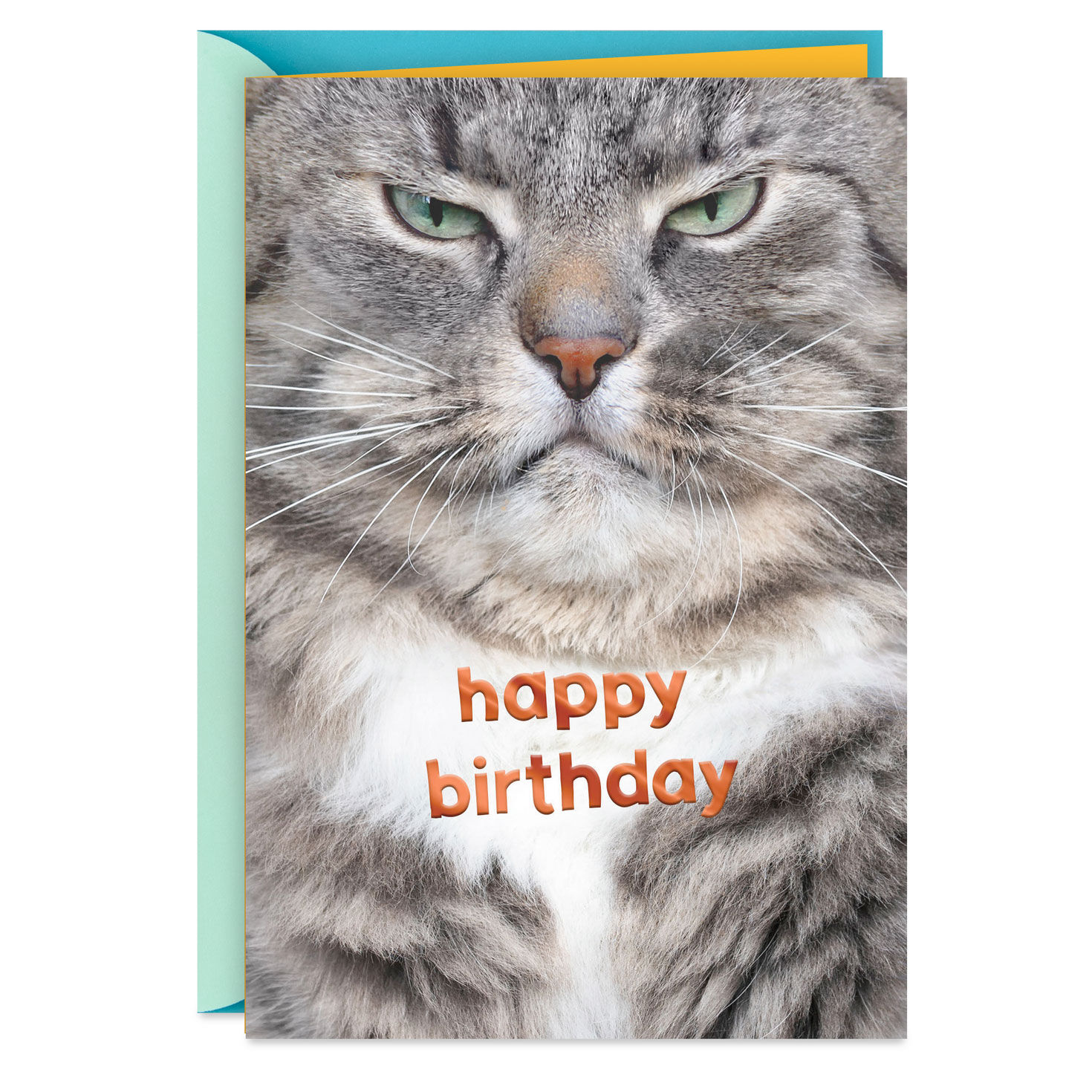 Grumpy Cat Funny Birthday Card for only USD 2.99 | Hallmark