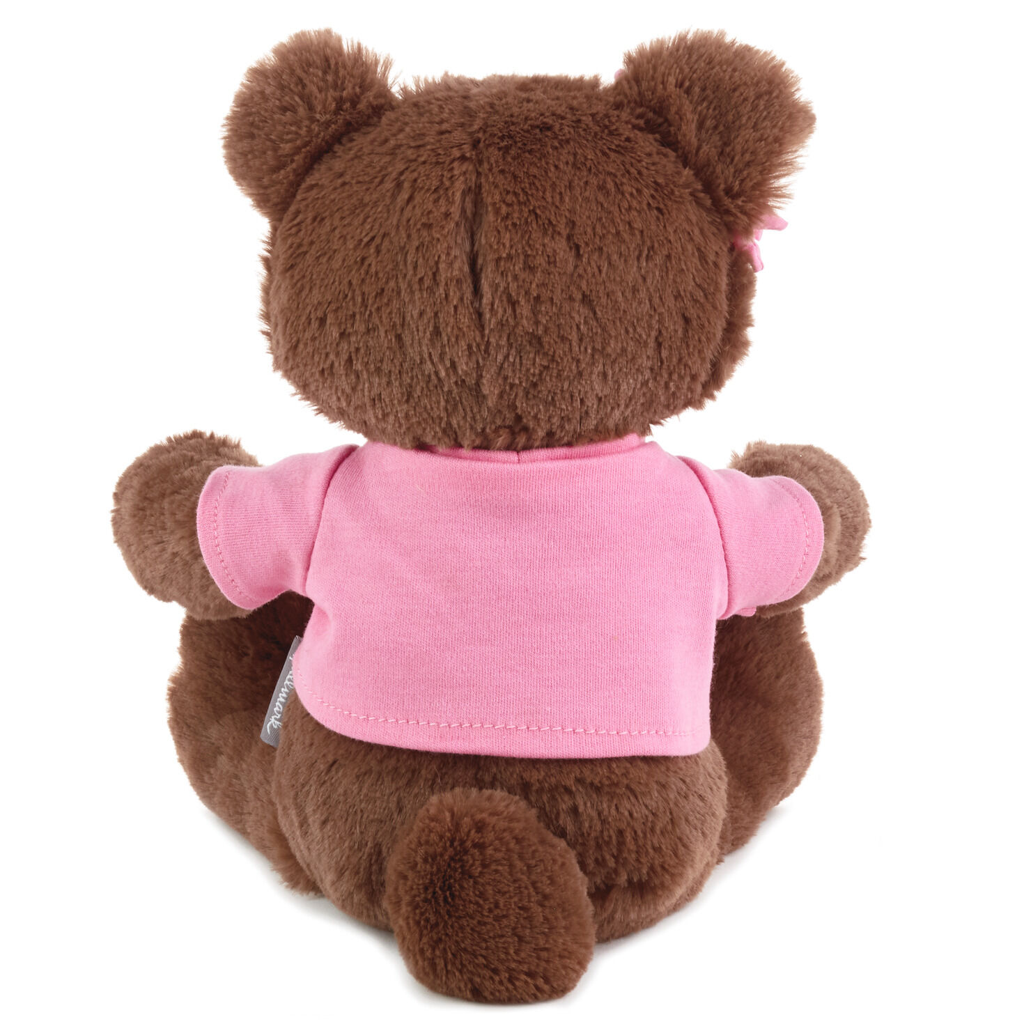 teddy bear hallmark