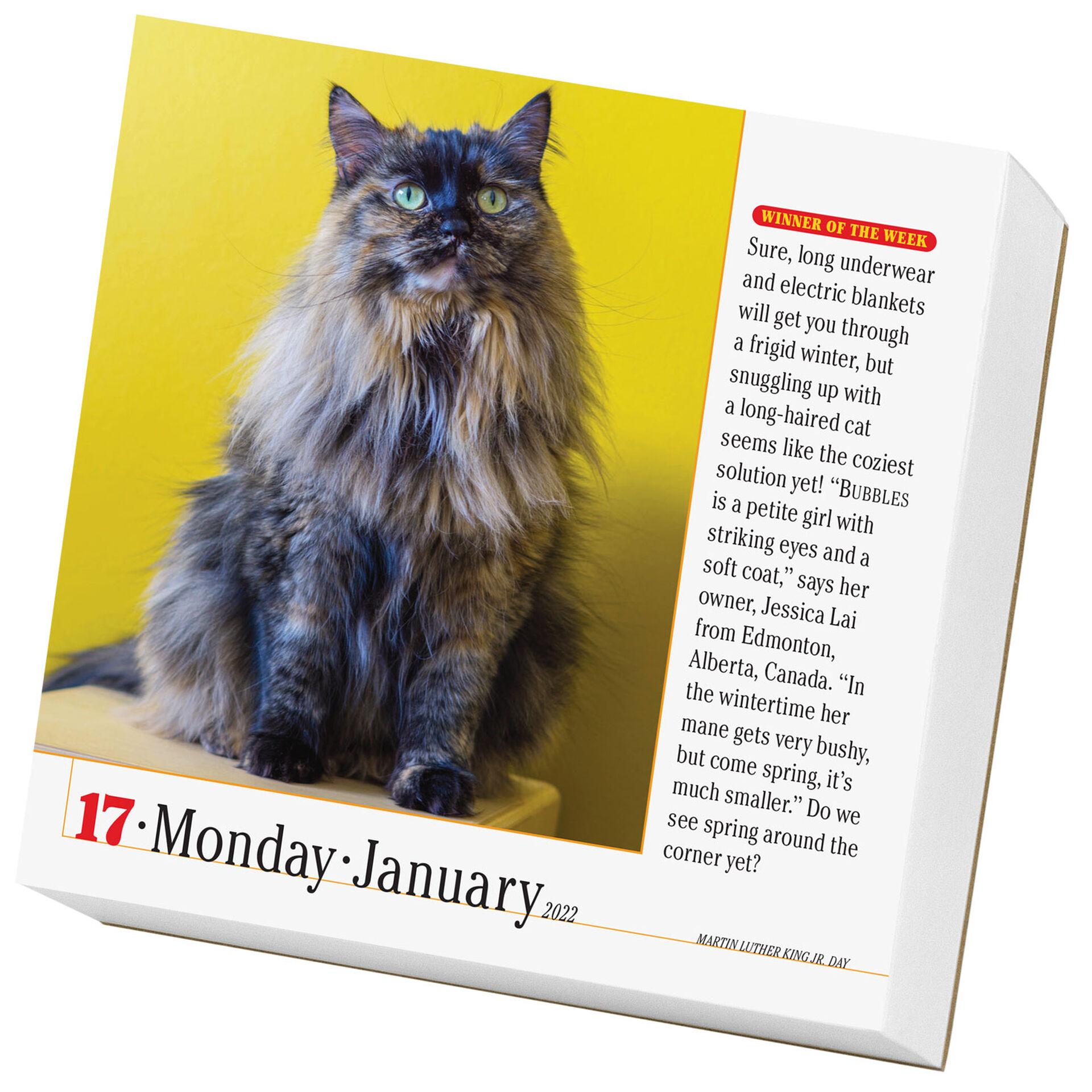 365 Cats PageADay Calendar, 2022 Calendars & Planners Hallmark
