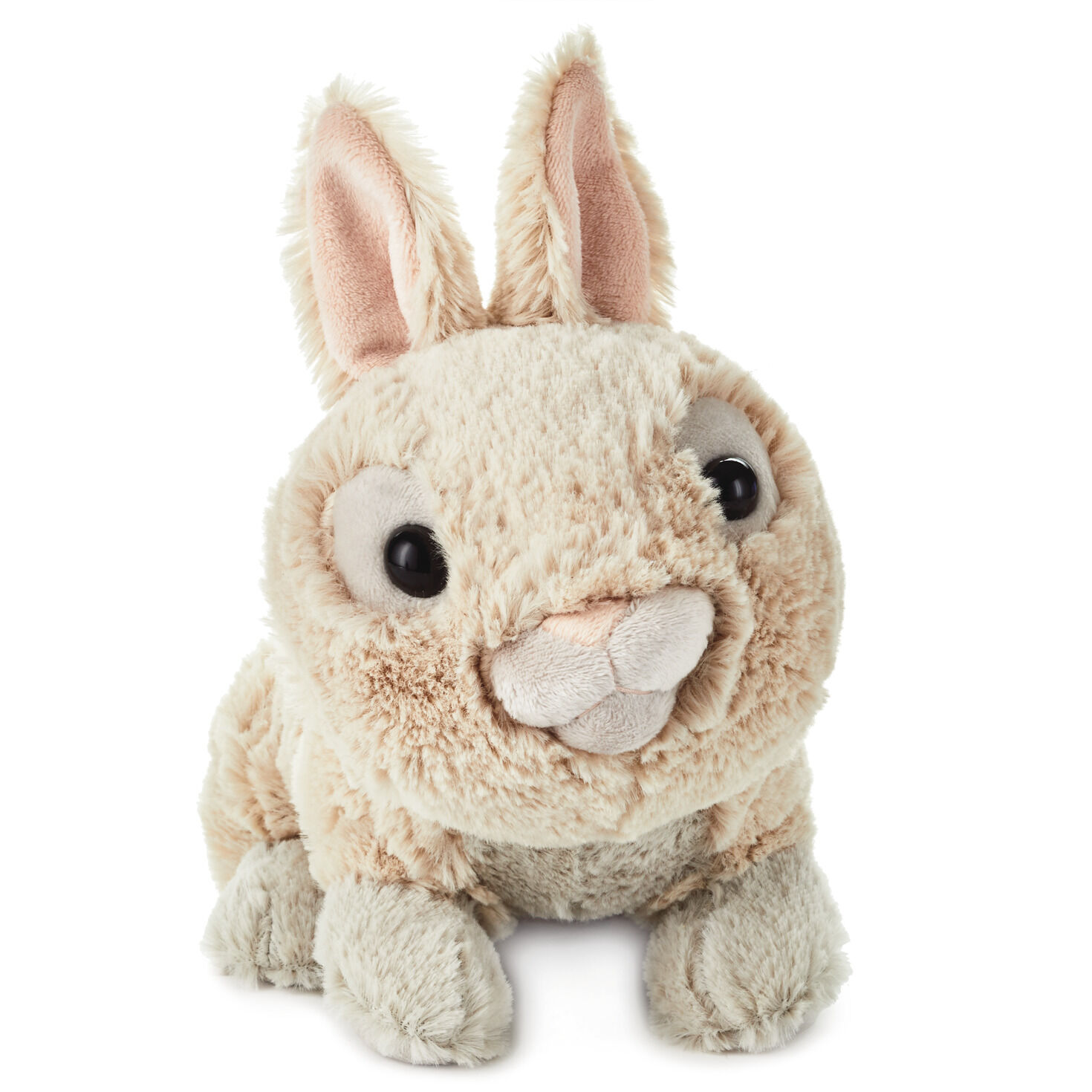 stuffed baby bunny