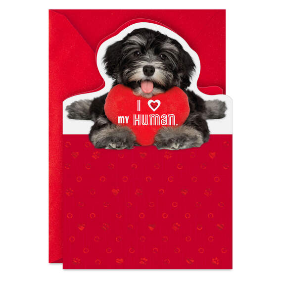 Hallmark Pack of Vintage Valentines Day Cards, Valentine Greetings (10 Valentine's  Day Cards with Envelopes) : Buy Online at Best Price in KSA - Souq is now  : Office Products
