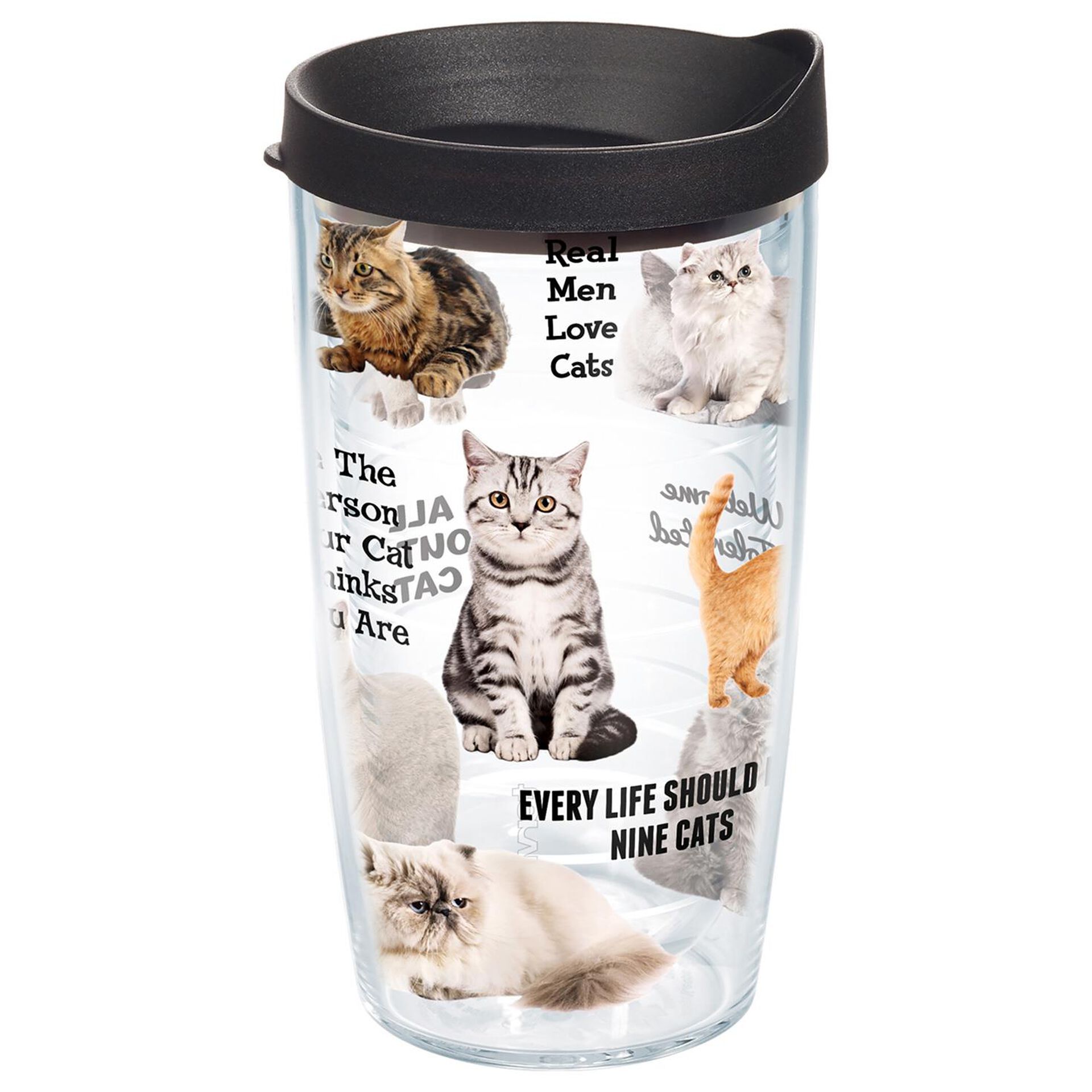 Tervis® Cat Sayings Tumbler, 16 oz. - Tumblers - Hallmark