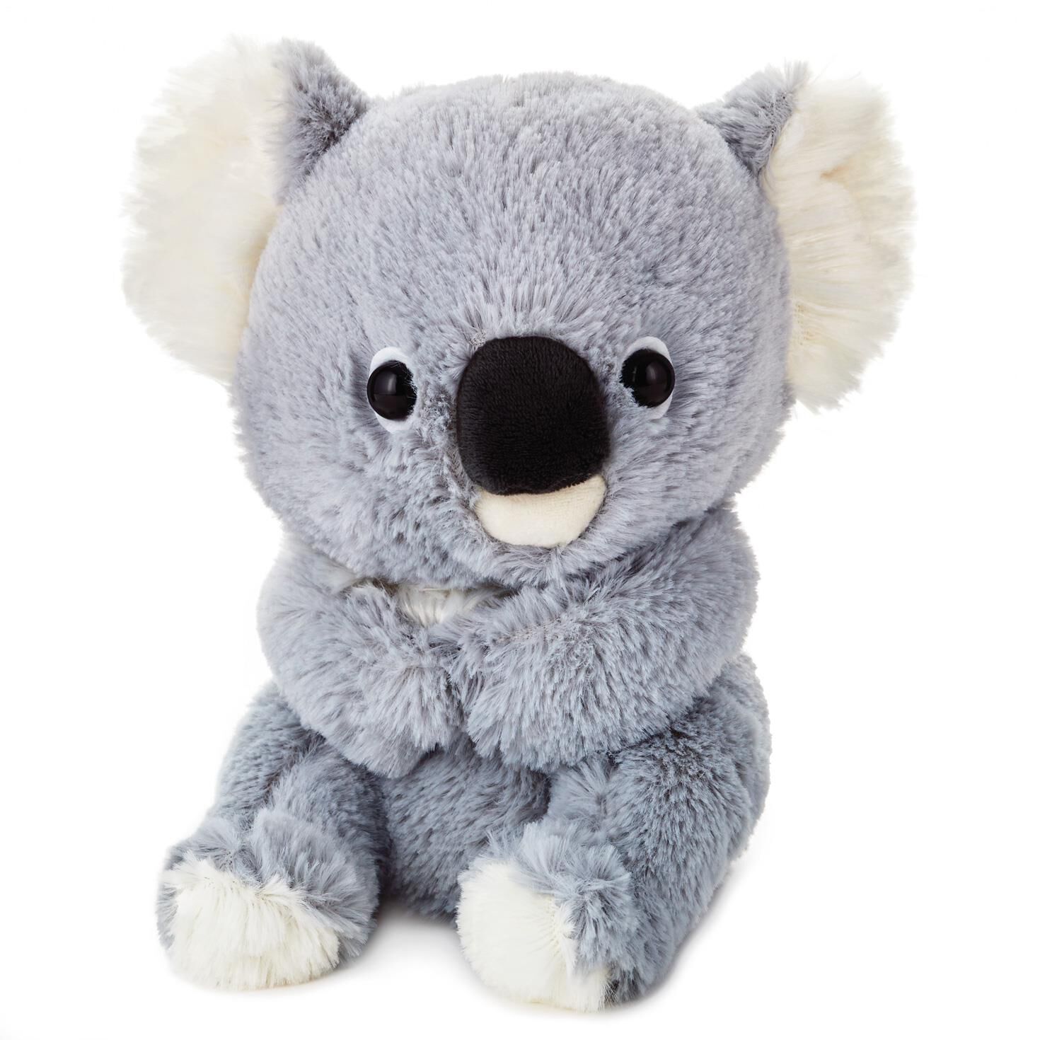 koala stuffed toy