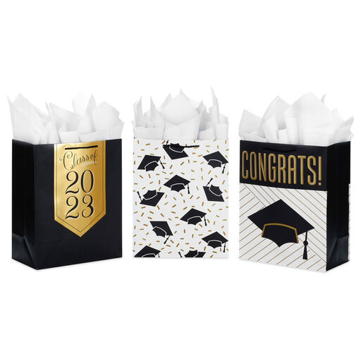  13 Black Gift Bag with Tissue Paper for Girls