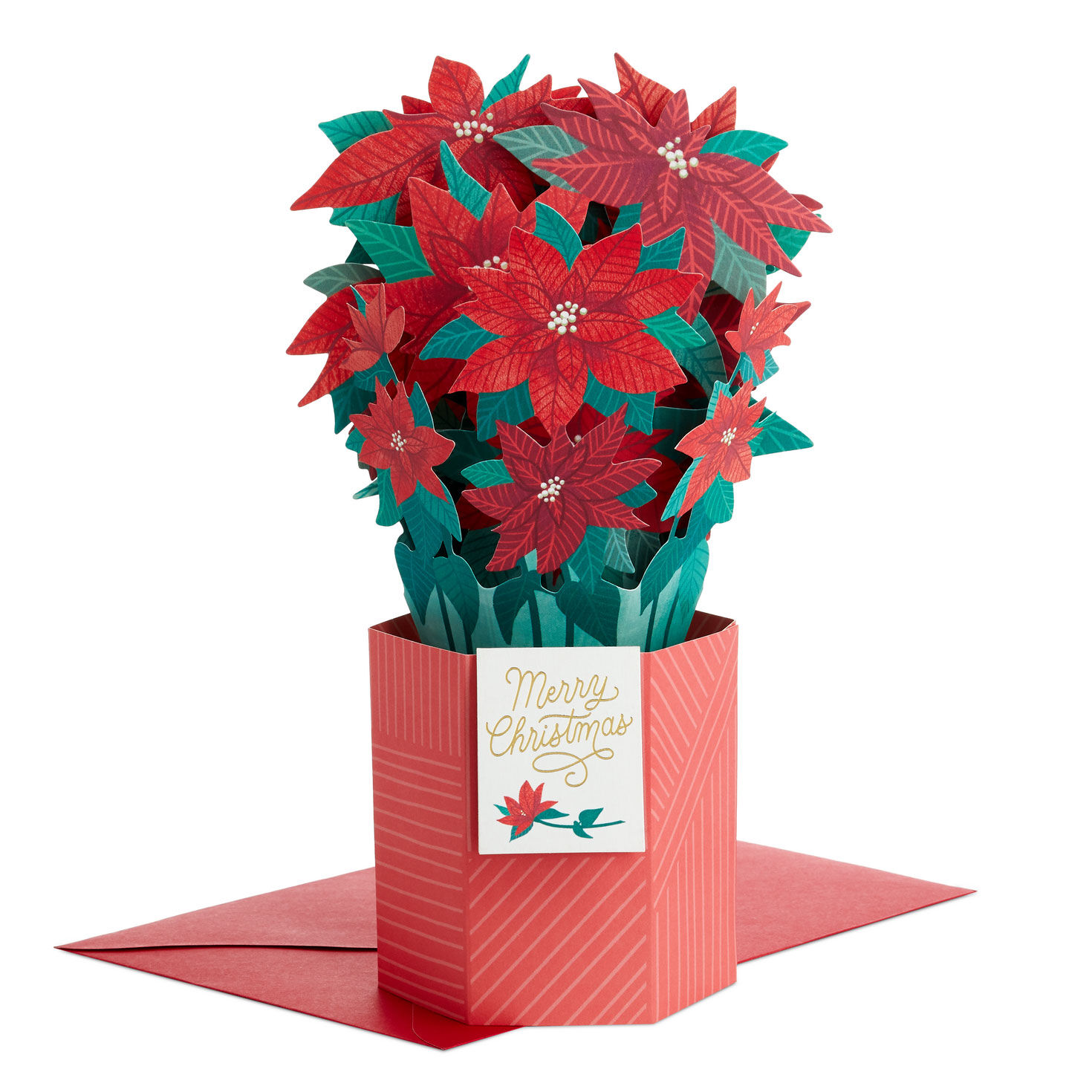 Design Design® 14-Piece Merry Christmas Poinsettia Boxed Card Set at Von  Maur