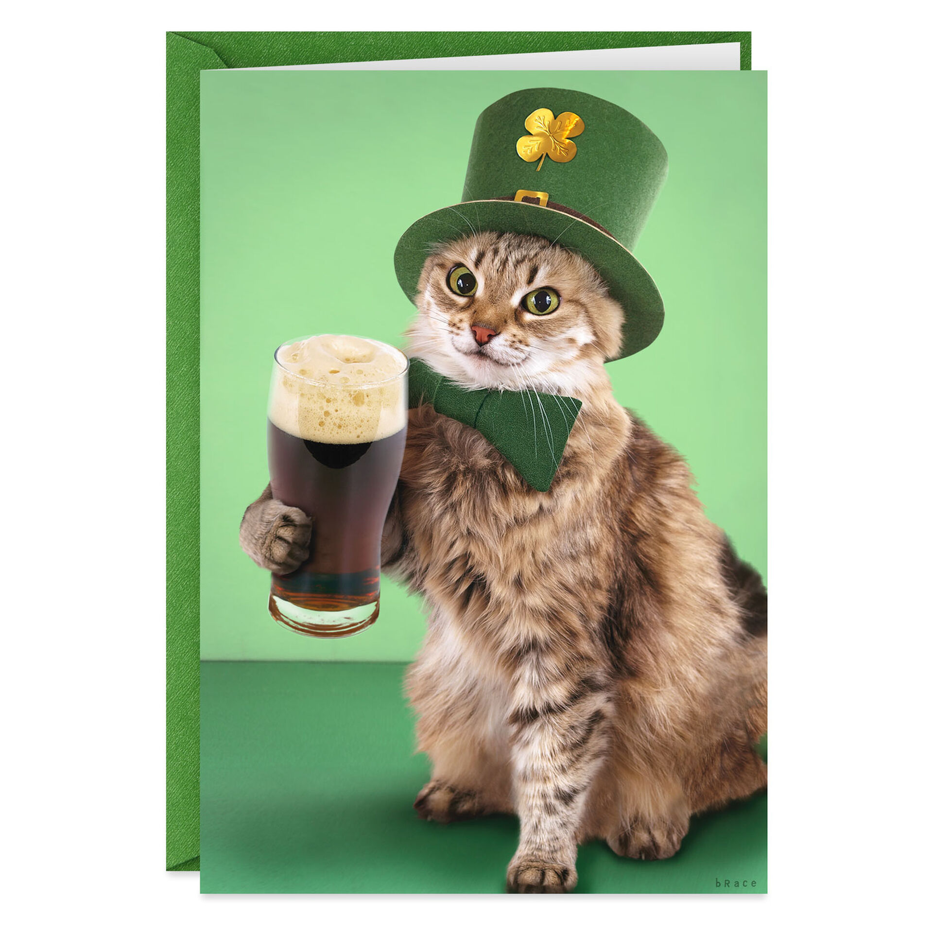 Leprechaun Cat Funny St. Patrick's Day Card - Greeting Cards - Hallmark