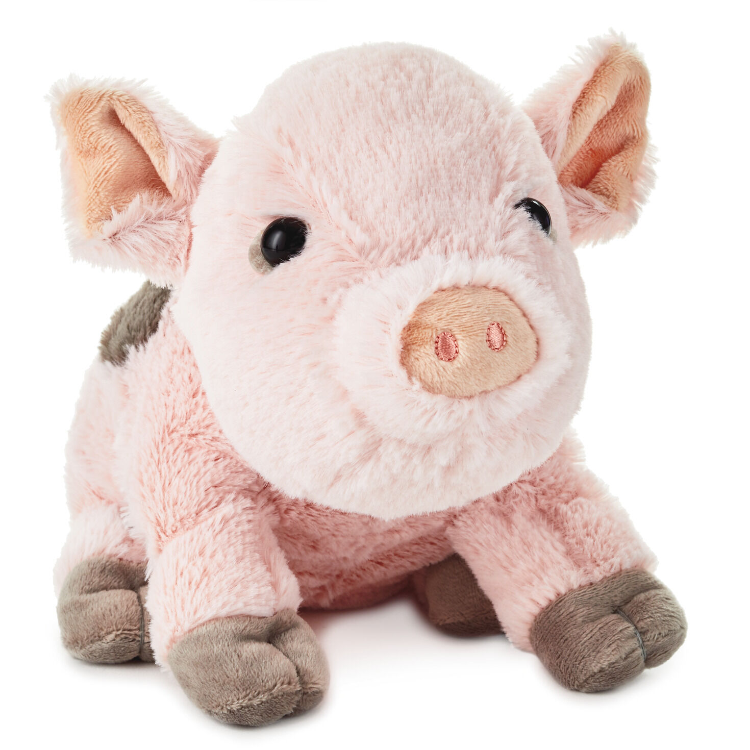 stuffed pig plush