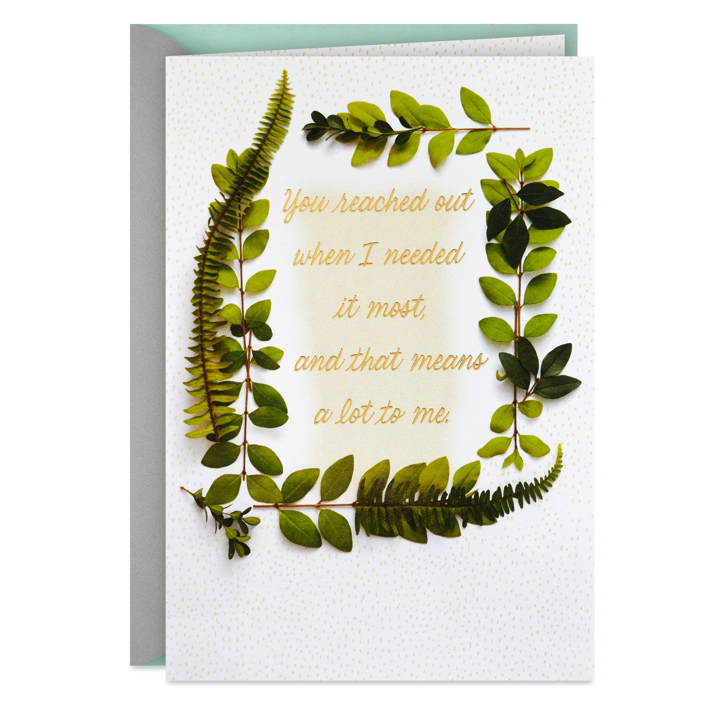 Your Caring Means a Lot Sympathy Thank-You Card for only USD 2.99 | Hallmark