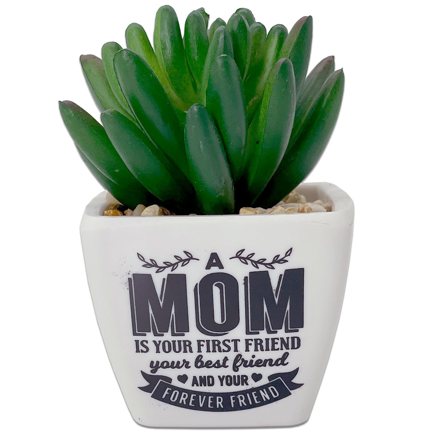 Birthday Gifts Mom - Perfect Mom Birthday Gifts & Mother Birthday Gifts:  Unique Happy Birthday Mom Present, 3 Succulent Pots