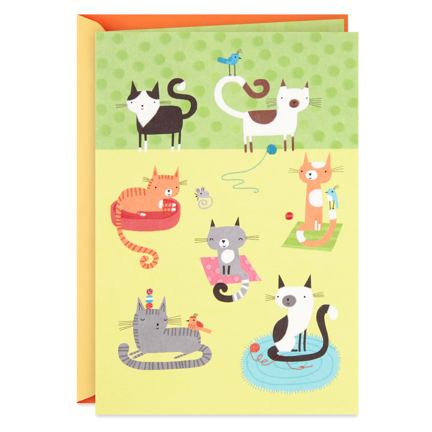 Cute Cats Blank Card - Greeting Cards | Hallmark