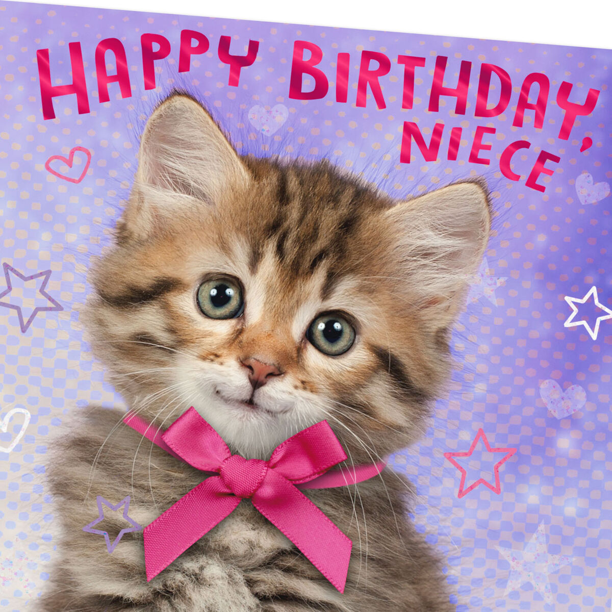 Cuddly Kitten With Bow Birthday Card for Niece - Greeting Cards - Hallmark