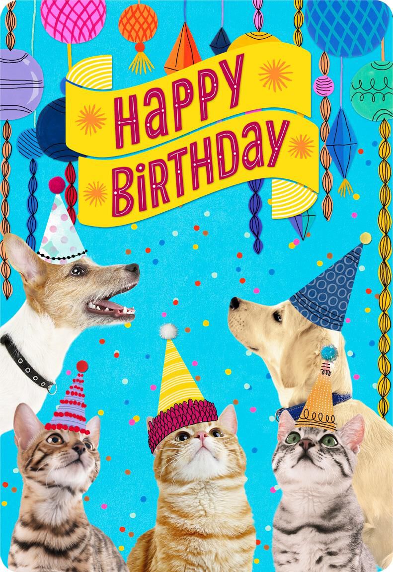 Party Cats and Dogs Jumbo Birthday Card From Us, 16.25