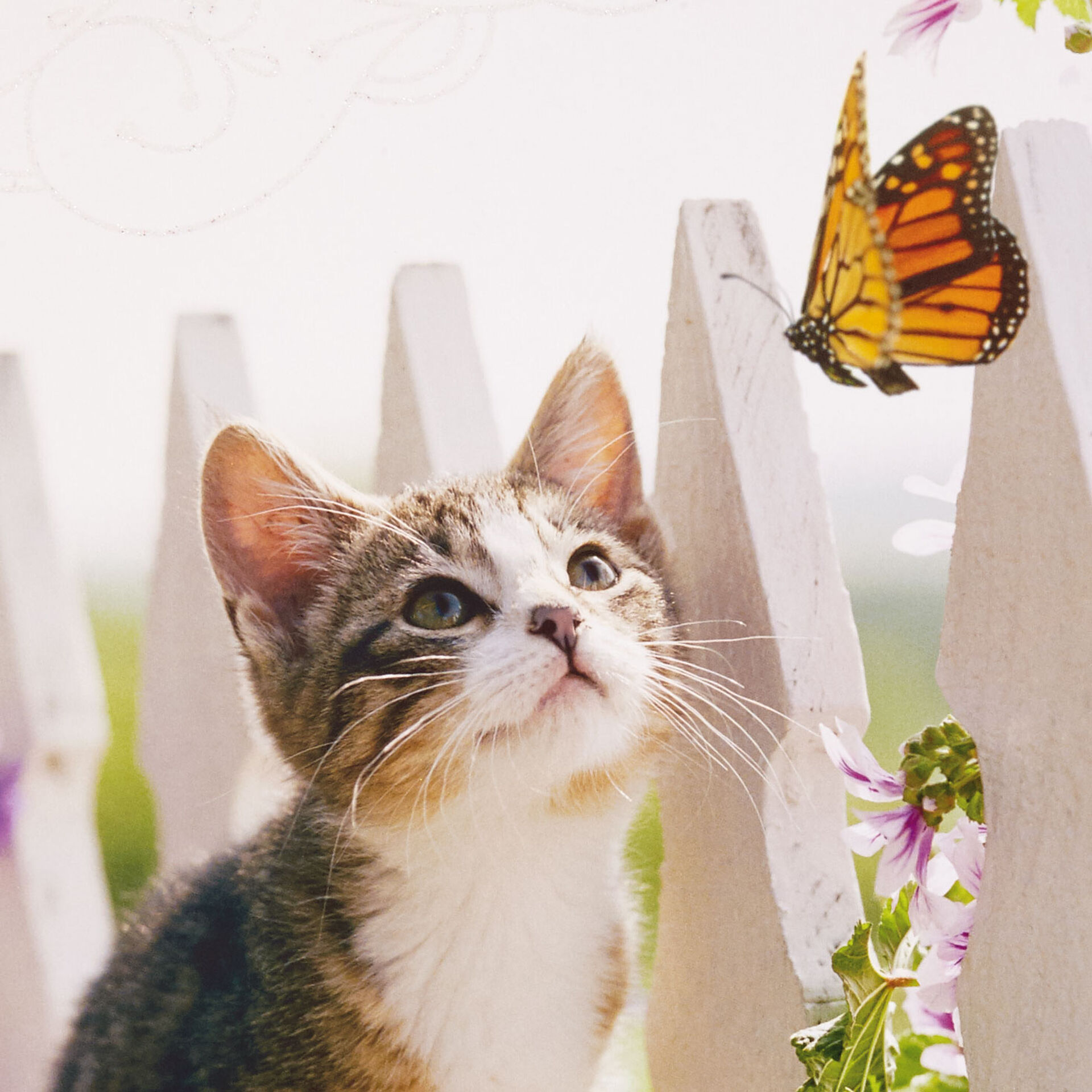 Cat and Butterfly Jumbo Friendship Card, 16.25&quot; - Greeting Cards - Hallmark