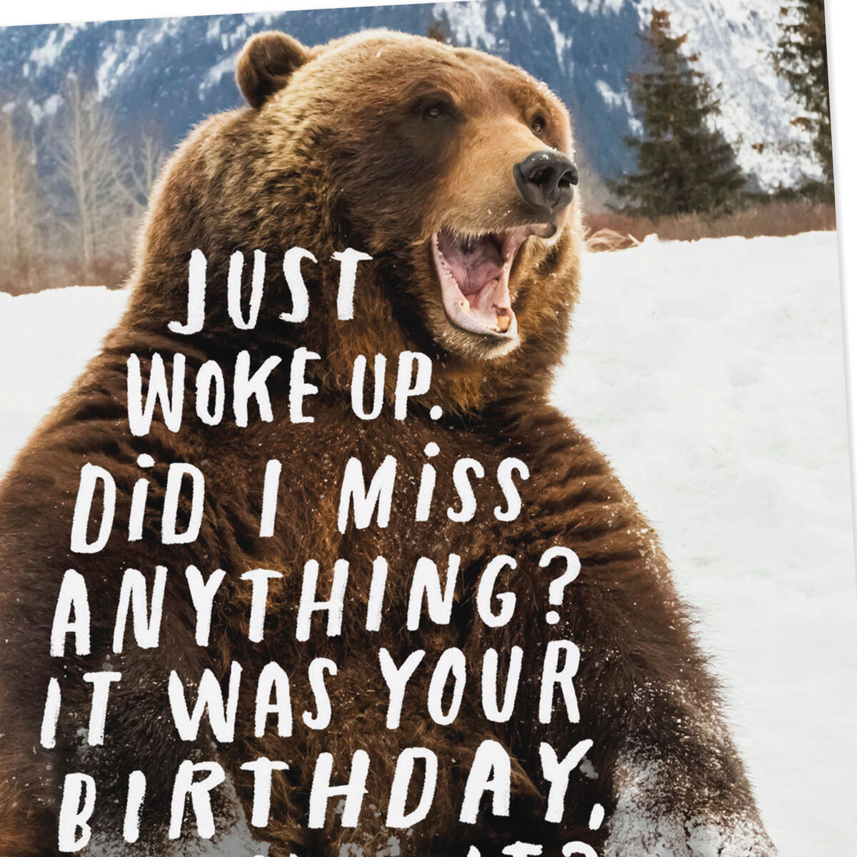 Hibernating Brown Bear Funny Belated Birthday Card - Greeting Cards