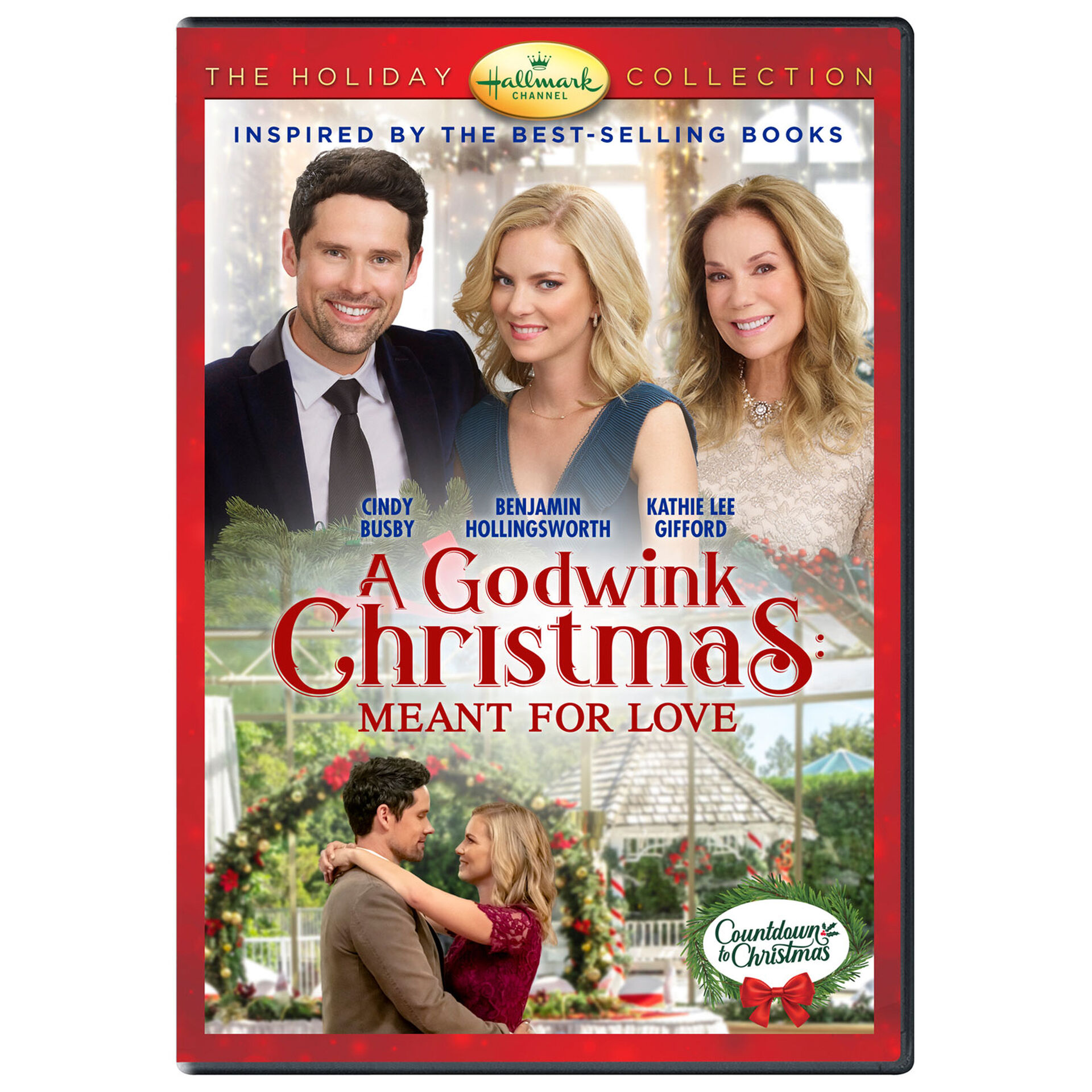 A Godwink Christmas Meant for Love Hallmark Channel DVD Hallmark