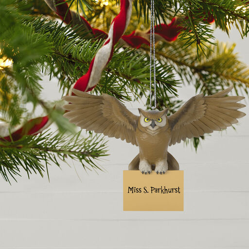Hallmark Keepsake Christmas Ornament 2022, Harry Potter Quidditch Set –  Celebrations Hallmark