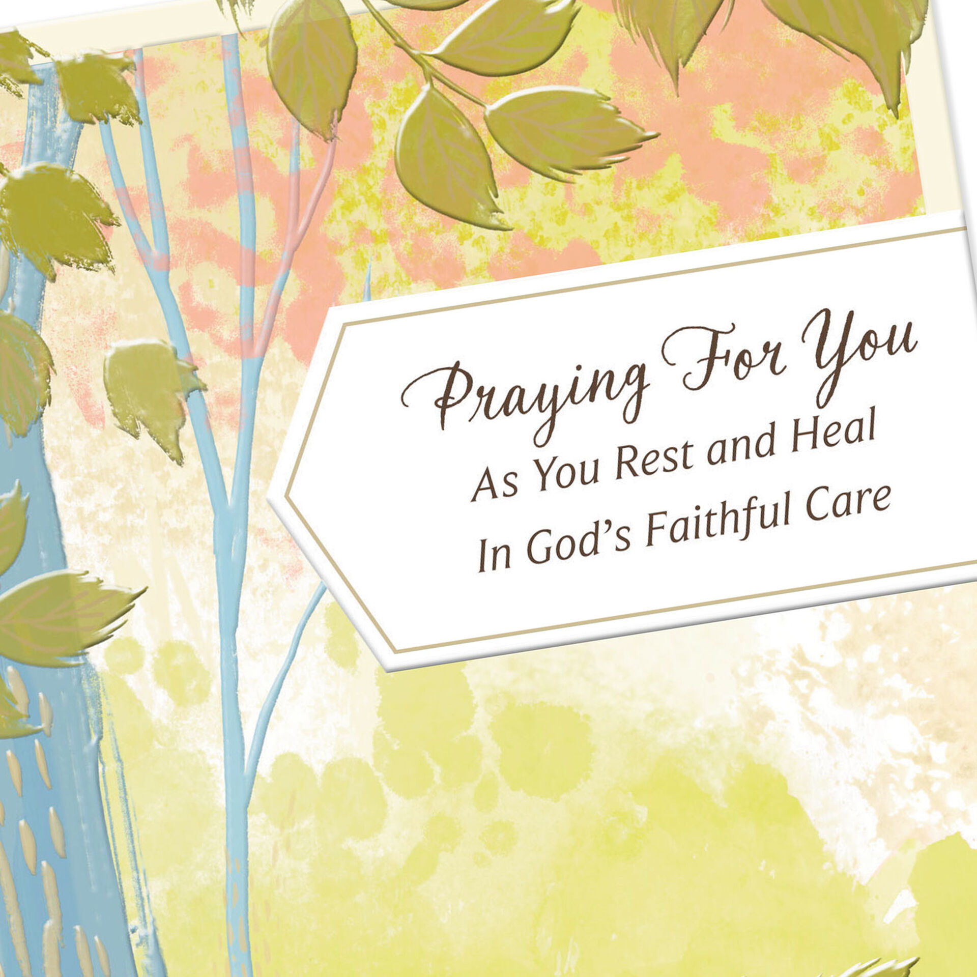 Prayers for Healing Get Well Card - Greeting Cards - Hallmark