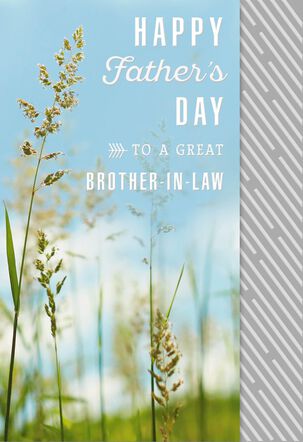 All the Happiness Father's Day Card for Brother-in-Law - Greeting Cards