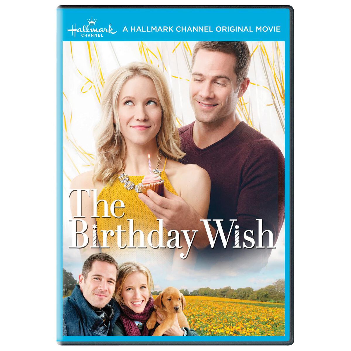 The Birthday Wish DVD Hallmark Channel Hallmark