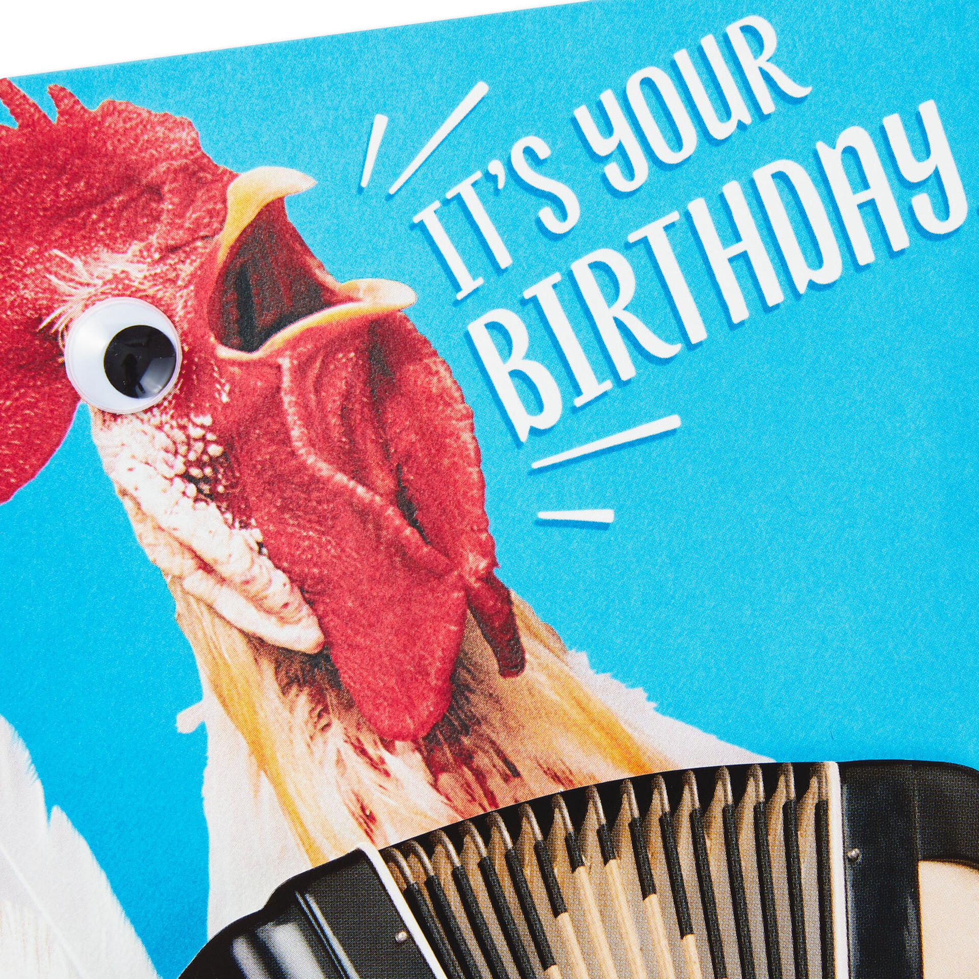 Chicken Dance Funny Musical Birthday Card With Motion - Greeting Cards