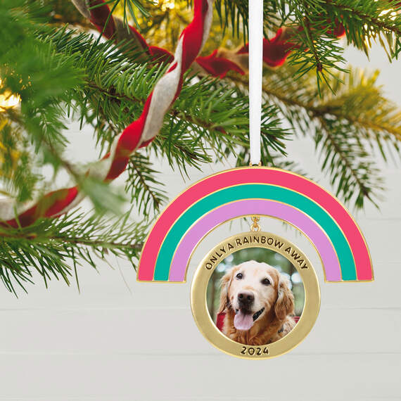 https://www.hallmark.com/dw/image/v2/AALB_PRD/on/demandware.static/-/Sites-hallmark-master/default/dwc9814fbe/images/finished-goods/products/1999QHX3071/Rainbow-Pet-Picture-Frame-Keepsake-Ornament_1999QHX3071_02.jpg?sw=570&sh=758&sm=fit&q=65