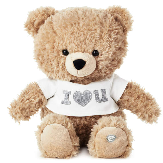 Photo and Audio Bear, Custom Photo Teddy Bear with Voice, Personalized  Gift Bears
