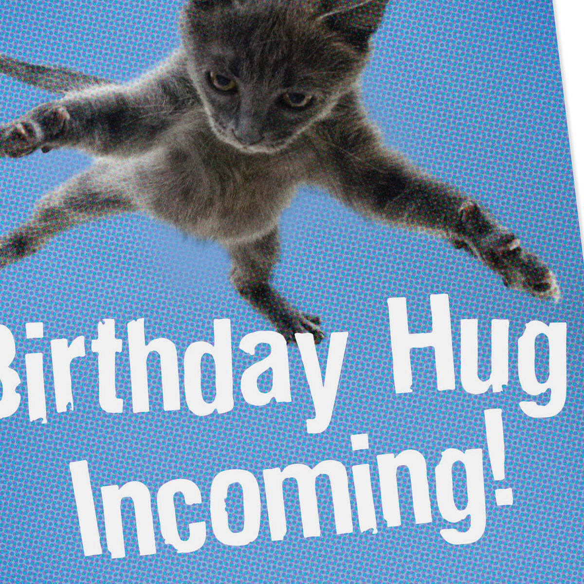 Flying Cat Hug Birthday Card - Greeting Cards - Hallmark