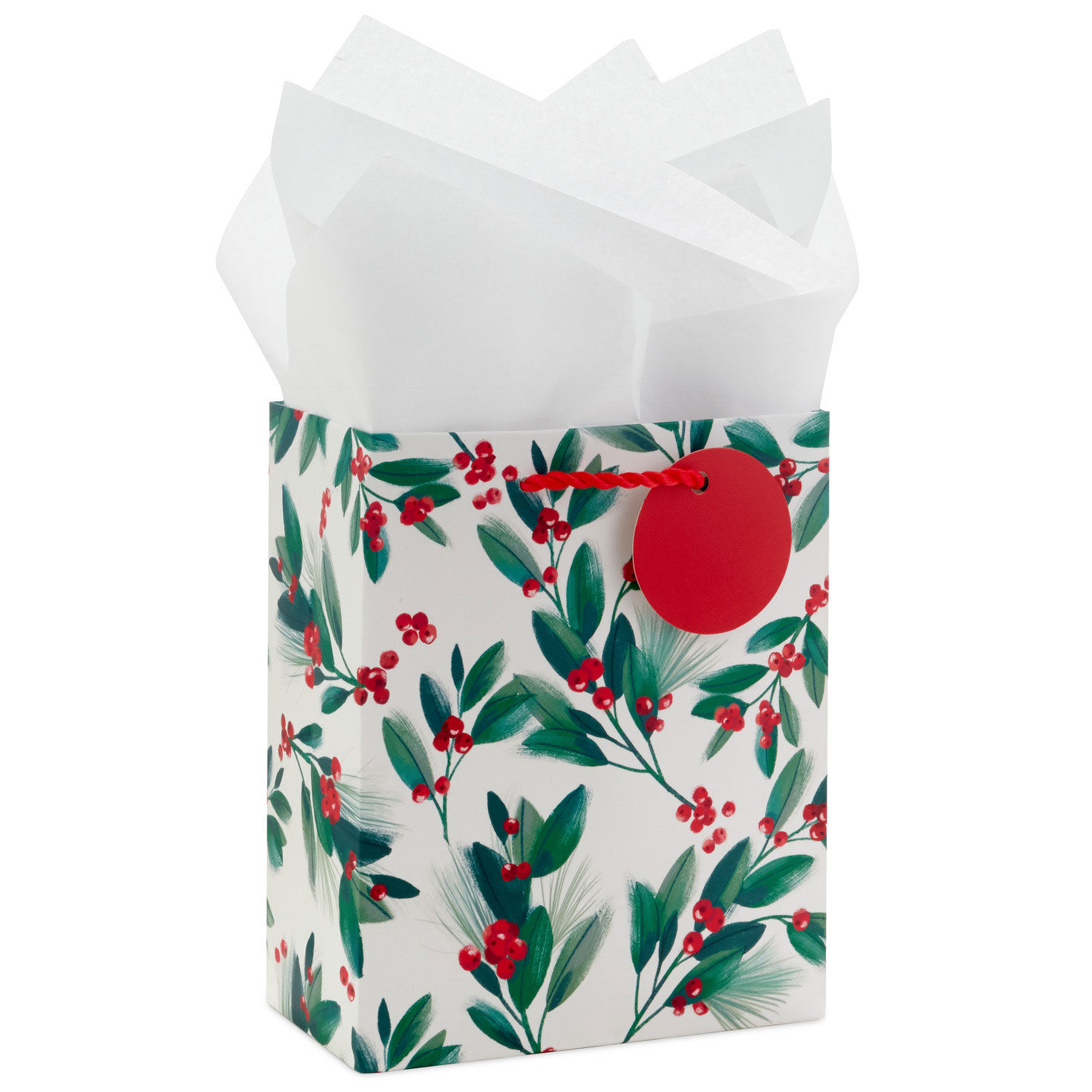  SUNCOLOR 6 Pack 9 Small Christmas Gift Bags With Tissue paper  : Health & Household