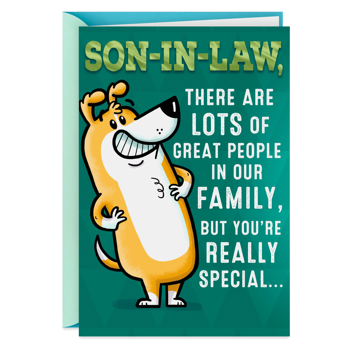 You're Special Funny Birthday Card for Son-in-Law - Greeting Cards - Hallmark