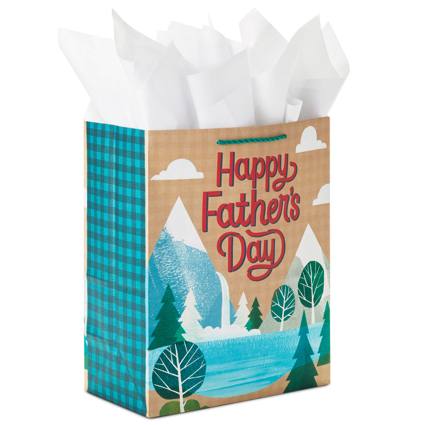 Hallmark 13 Large Father's Day Gift Bag with Tissue Paper (Blue and Lime  Green) for Dads, Step-Dads, Grandfathers, Uncles, Dads-to-Be : :  Health & Personal Care