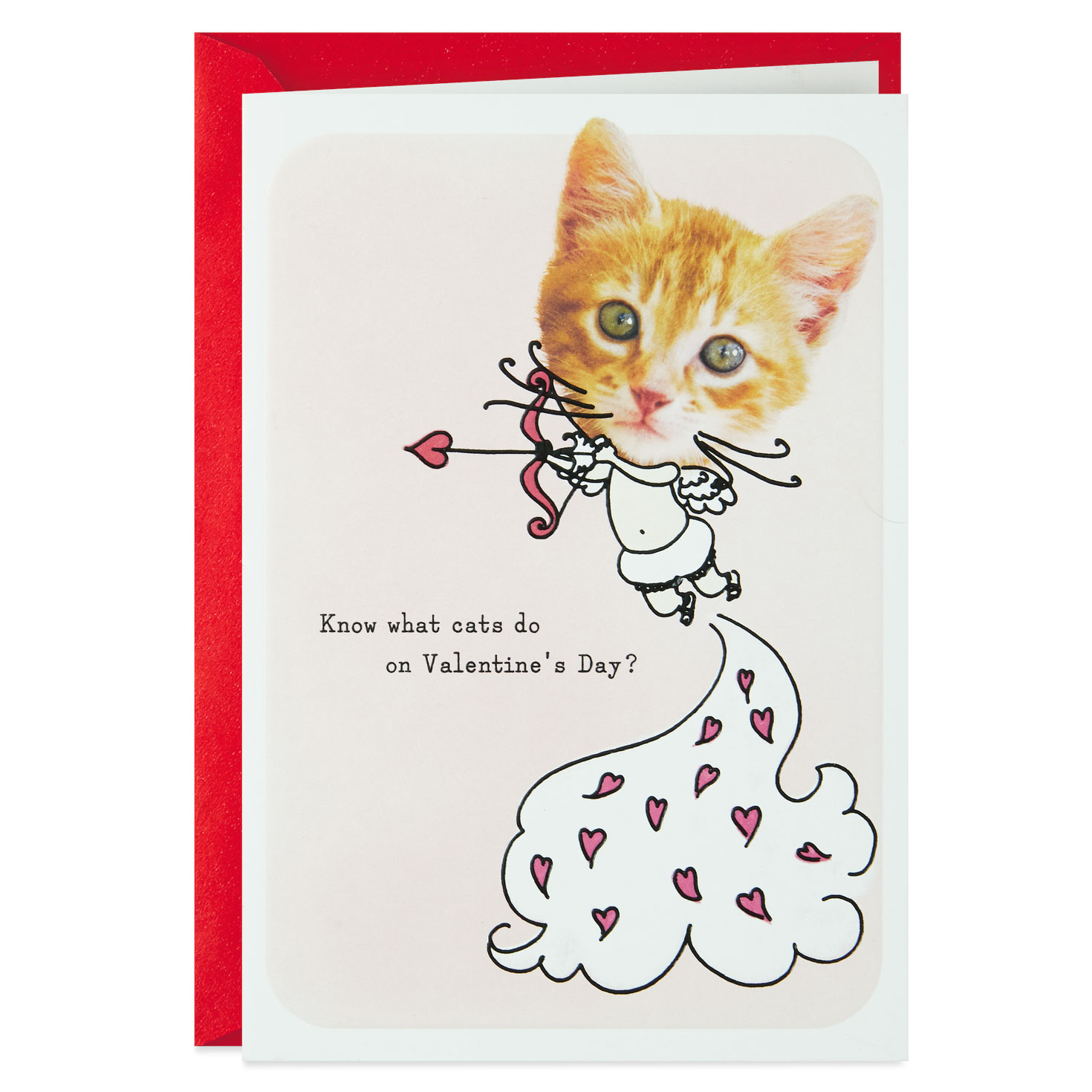 Cupid Cat Funny Valentine's Day Card - Greeting Cards ...